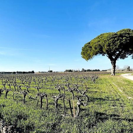 Les Appartements Du Mas - Emeraude Aigues-Mortes Extérieur photo